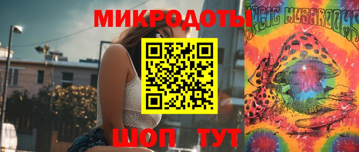 Псилоцибиновые грибы мицелий Новочебоксарск